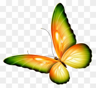 Butterfly Clip Art With - Butterfly Clipart With Transparent Background - Png Download