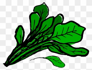 Spinach Clipart At Getdrawings - Spinach Images Clip Art - Png Download