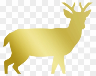 Reindeer Antlers Clipart - Male Deer Silhouette - Png Download