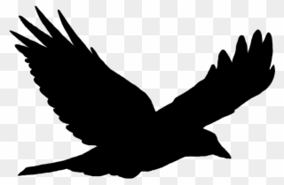Crow Clip Art - Your Wings Already Exist All You Have - Png Download