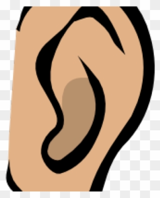 Ear Clipart Listening - Ear Clip Art - Png Download