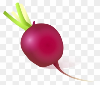 Vegetable Daikon Onion Eating Turnip - Radish Pics Clipart - Png Download