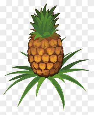 Clipart Pineapple Cartoon - Pineapple Plant Cartoon Png Transparent Png