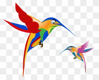 Google Hummingbird Update Free Image Created By Thoughtshift - Google Hummingbird Clipart
