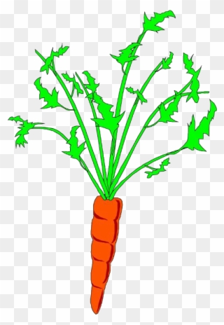 Clip Download Carrot Clipart Plant - Carrot Animation - Png Download