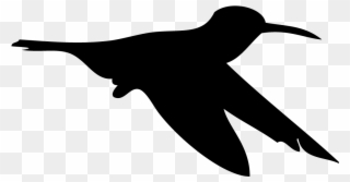 Silhouette Hummingbird - All About Birds Clipart