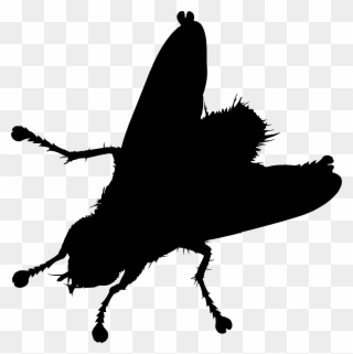Big Image - Moths And Butterflies Clipart