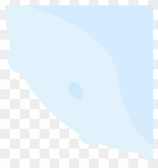 New Plans To Speed Up Your Invoicing - Illustration Clipart