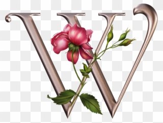 Фотки Monogram Letters, Floral Letters, Design Letters, - Alfabeto Plateado Con Flores Rosas Png Letter Clipart