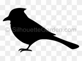 Blue Jay Clipart Transparent - Silhouette Of A Blue Jay - Png Download