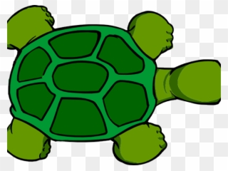 Shell Clipart Tortoise Shell - Cartoon Turtle From Above - Png Download