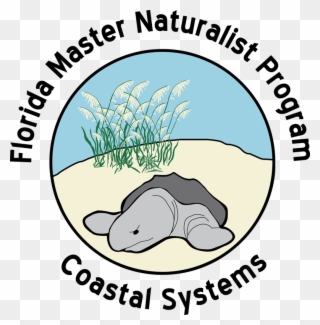 Picture - Florida Master Naturalist Clipart