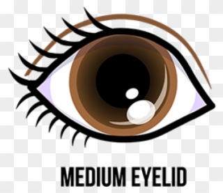 Eyelash Clipart Eye Lid - Cartoon Brown Eyes - Png Download