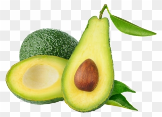 Download Free Png Dlpng - Avocado Png Clipart