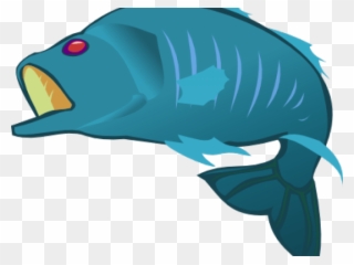 Clownfish Clipart Parrot Fish - Transparent Background Fish Clip Art - Png Download