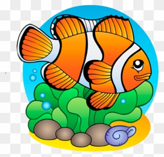 Clown Fish イラスト 無料 クマノミ Clipart Full Size Clipart Pinclipart