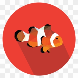 Clownfish For A Client Anyway, I Thought I May As Well - Halten Und Parken Verboten Clipart