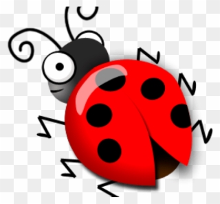 Drawn Ladybug Scientific - Ladybug Clipart