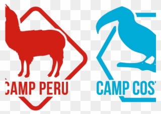 Llama Clipart South America Animal - Camps International Ecuador End Peru 2017 - Png Download