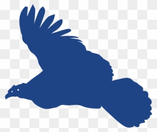 Andean Condor Gold Sponsor - Red Shouldered Hawk Clipart