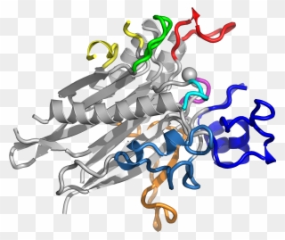 Researchers Define Structure Of Key Enzyme Implicated - Illustration Clipart