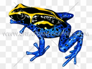 Poison Dart Frog Clipart Dot - Yellow And Blue Frog - Png Download