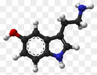 Molecular Structure Of Serotonin - Serotonin Molecule Clipart