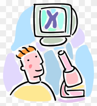 Vector Illustration Of Human Genetics Cytogenetics Clipart