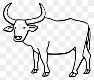 Gnu Clipart Female Buffalo - Drawing Of A Carabao - Png Download