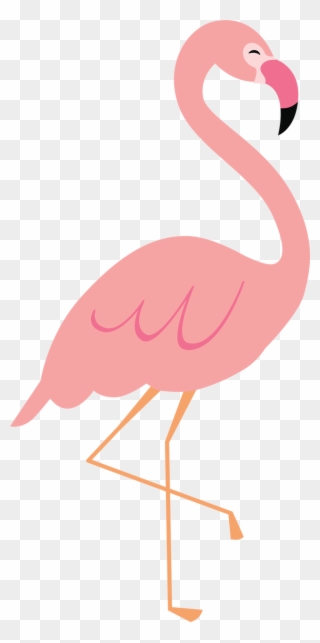 637 X 1280 1 - Greater Flamingo Clipart