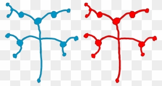 Here Are Some Simple Brain Nerve Paths Art That I Quickly Clipart