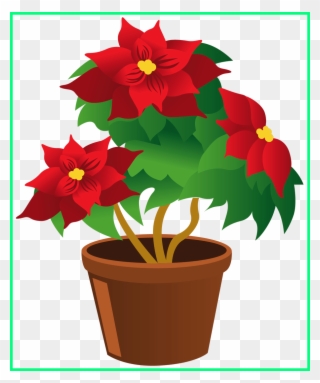 Best Poinsettia Pot Png My Garden Valley Ⓒ - Flower Pot Clipart Png Transparent Png