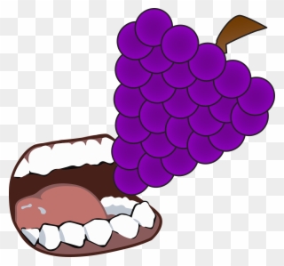 Grapevine Clipart Banner - Png Download
