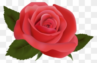 Red Rose Png Image Clipart Deseos De Migdalia Pinterest - Flores Fucsias Png Transparent Png