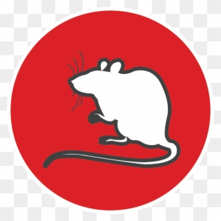 Adopt An Ex-lab Animal - Rat Clipart