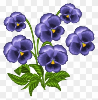 Wishing Well Flower Clipart, Wishing Well, Views Album, - Pansies Drawing .png Transparent Png
