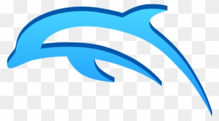 We Will Accept New Swimmers Throughout The Year, Depending - Dolphin Emulator Icon Clipart