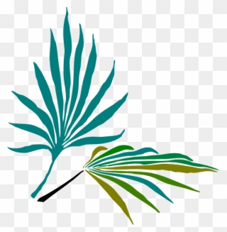 Palm Frond Clip Art - Png Download