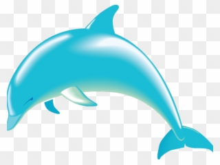 Spinner Dolphin Clipart Dolphin Fish - Dolphin Clipart Transparent Background - Png Download