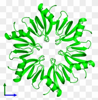 Hexameric Assembly 2 Of Pdb Entry 2yht Coloured By - Illustration Clipart