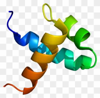 Myb Transcription Factor Structure Clipart