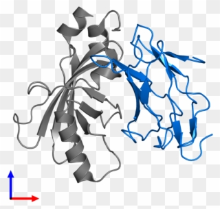 <div Class='caption-body'>pdb Entry 1e50 Contains 1 - Illustration Clipart
