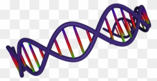 Alter Your Dna For Good - Adn Png Clipart