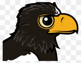 Stellers Sea Eagle Clipart Png - Steller's Sea Eagle Baby Transparent Png