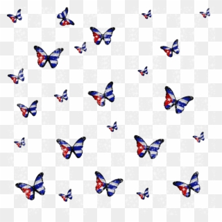 Cuba Cubana Habanera Butterflies Mariposas - Papilio Machaon Clipart