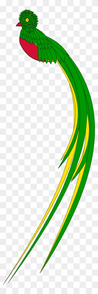 Clip Art Details - Quetzal Bird Clip Art - Png Download