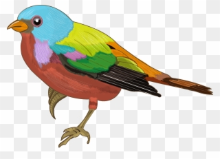 Colourful Sparrow Images - Color Dibujo De Pajaro Clipart