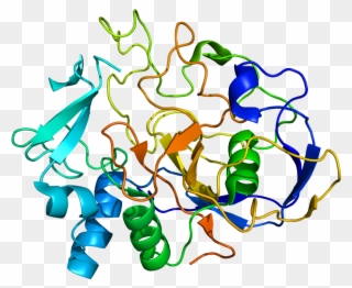 Sumf1 Protein Structure Clipart