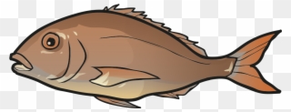 Fish - Halibut Clipart