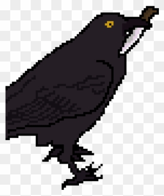 Random Image From User - American Crow Clipart
